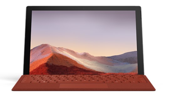 阳山清洁和维护 Surface